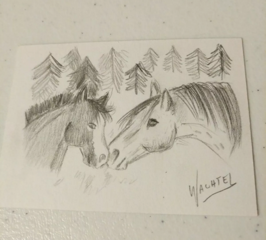 ACEO horse pencil drawing original eBay auction