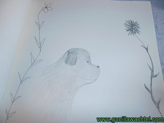 Sketchbook Sketches