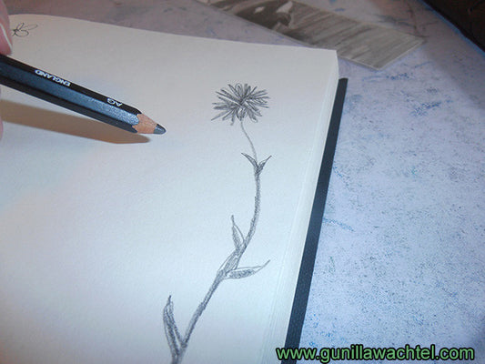 The Studio Zone - Sketchbook