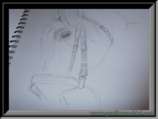 Pages from the Sketchbook and Adventures on Horseback
