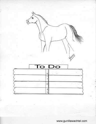 Workbook pages