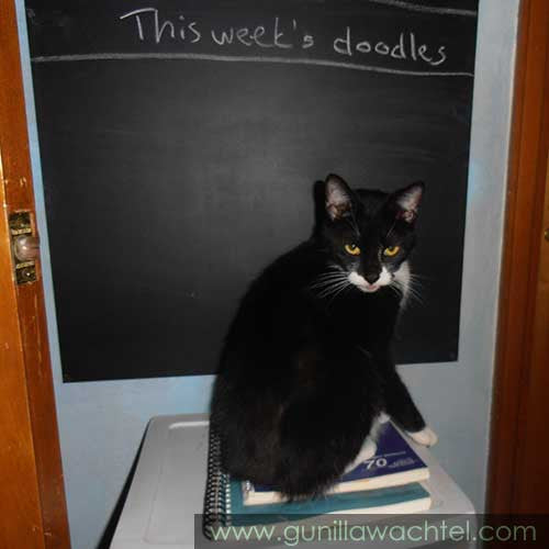 Boss Kitty Tuxie Tuxedo Girl