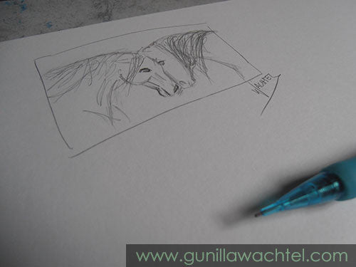 Two Horses in Love - Concept Sketch