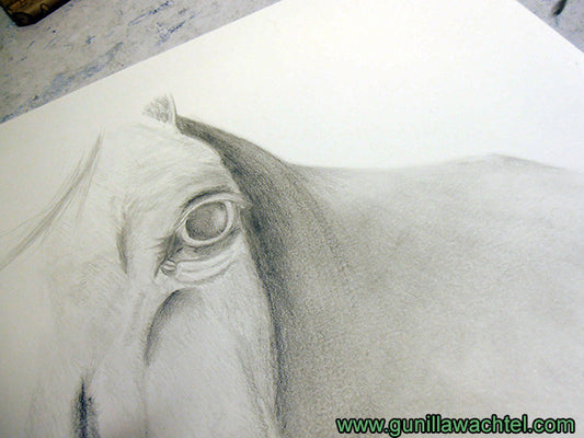 Horse Drawing Artwork in Progress