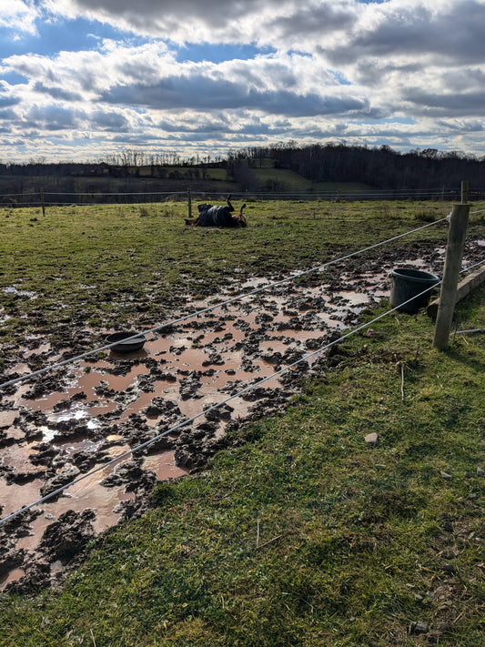 Life With Yggdrasil: Mud, Mischief, and a Dash of Sass