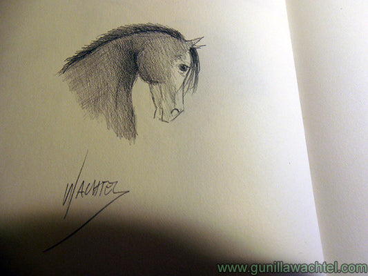 Pages from the Sketchbook Drawings and Sketches