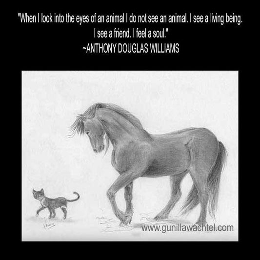 An Animal is a Living Being. A Friend. A Soul.