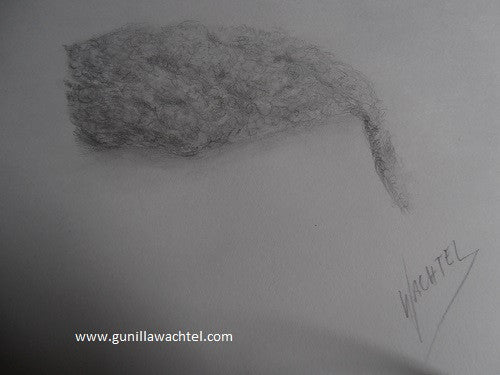 Behind the Scenes of My Studio – FUR, PAPERS and REST