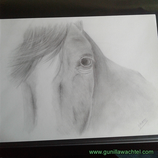 "Trust" - Horse Pencil Drawing Complete