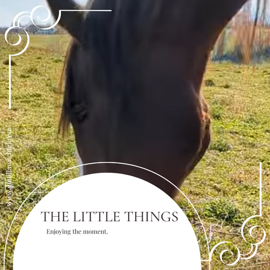 Finding Inspiration in Life’s Smallest Moments: How Tiny Details Spark Big Ideas in Art
