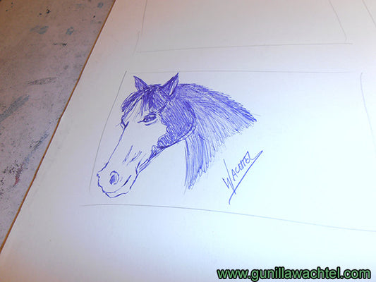 Sketchbook Review