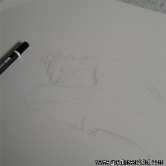 Artwork in Progress - Conch Shell Drawing