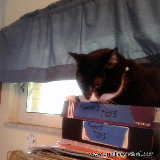 Tuxie the Studio Helper