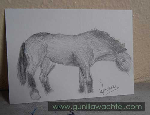 Daily Drawing 10 - Horse ACEO