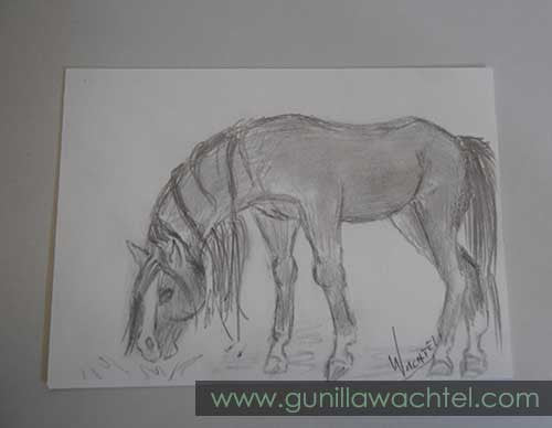 Daily Drawing 12 - Original ACEO - Grazing Horse