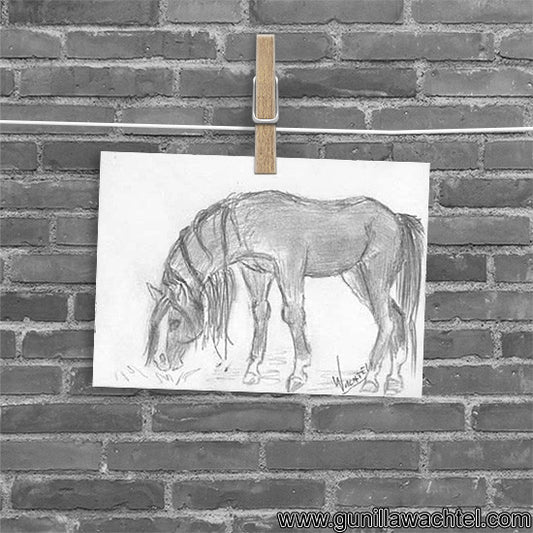 Horse Grazing - Original ACEO Pencil Drawing