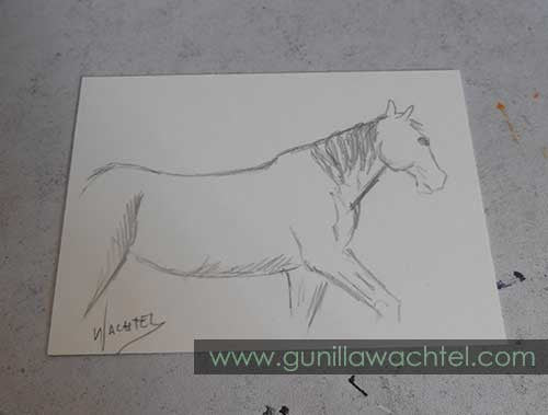 Daily Drawing 13 - ACEO - horse sketch