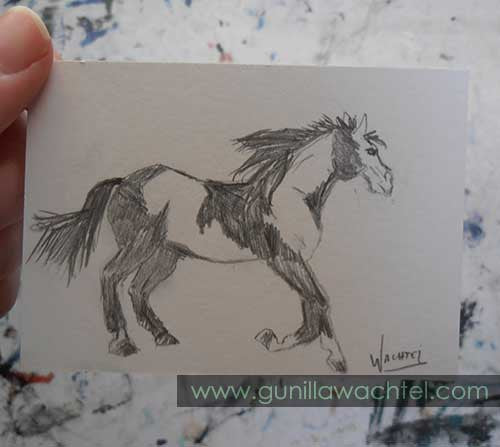 Daily Drawing 14 - Pinto Horse ACEO