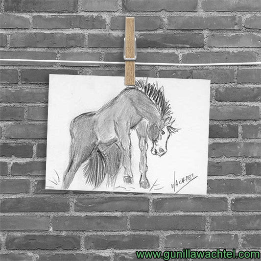 Daily drawing 21 - Horse ACEO drawing
