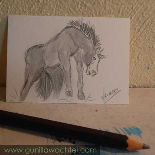 A Horse Done in Pencil and a Cute Blazey