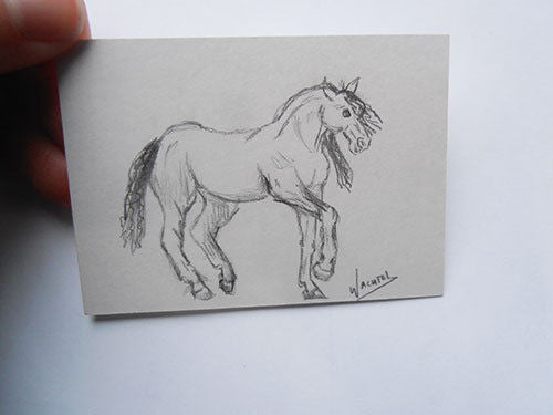Horse ACEO Art Card - eBay Auction