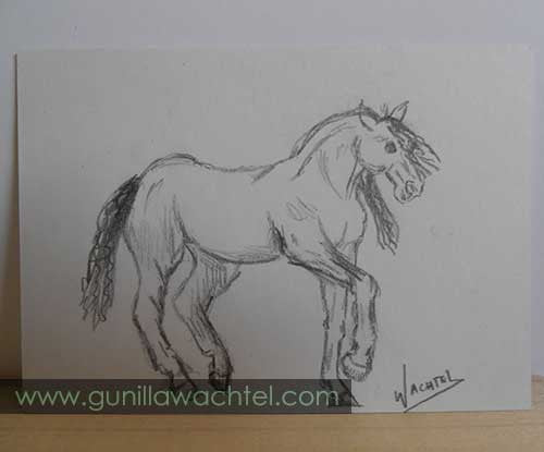 Daily Drawing #6 - Renaming Art Project