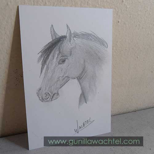 Daily Drawing #9 - Horse Original ACEO Drawing