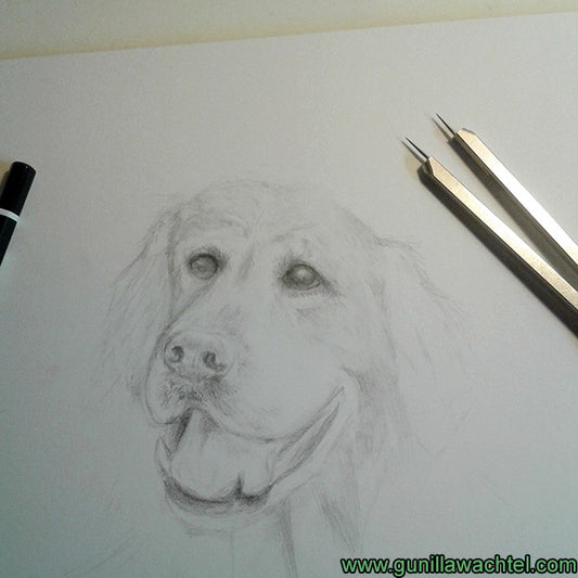 Artwork in progress - dog drawing