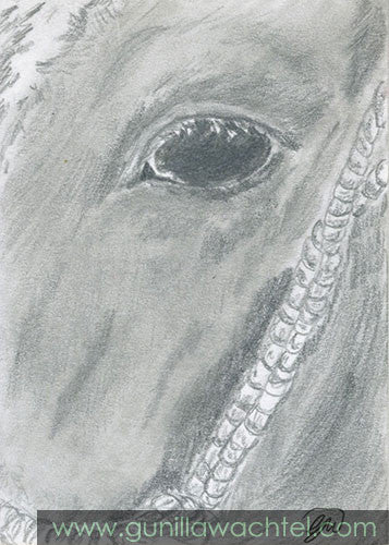 eBay Auction - ACEO Original Horse Drawing