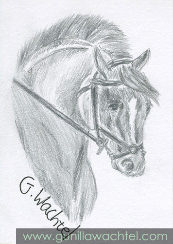 Working Horse - ACEO Original Drawing