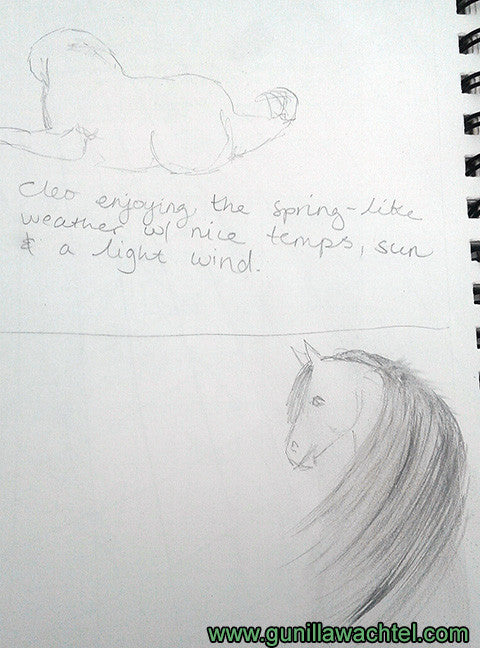 Pages from the Sketchbook - Horse and Dog