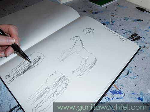 Horse Studies