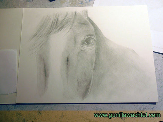 Horse Drawing Artwork in Progress