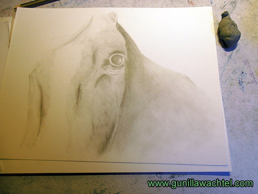 Another Update on the Horse Drawing - Artwork in Progress