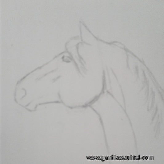 Pages from the Sketchbook - horses
