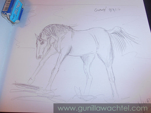A Page from My Sketchbook - Horse Drawing