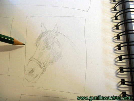 A Horse from my Sketchbook - Concept Sketches