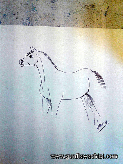 Pages from the Sketchbook - Arabian Horse