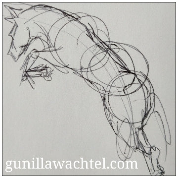 Sketch of a horse jumping