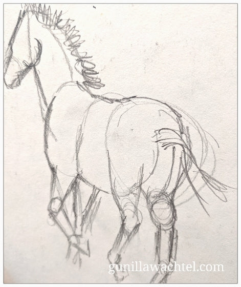Horse Anatomy and Pose Studies 1