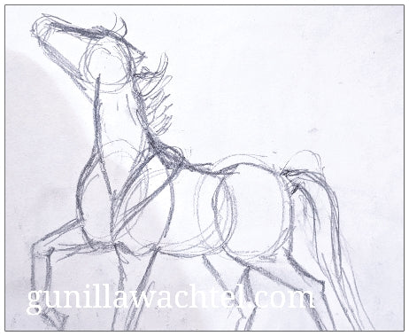 Horse Anatomy and Pose Studies 3