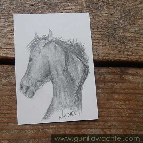 Studio Wednesday - ACEO art cards