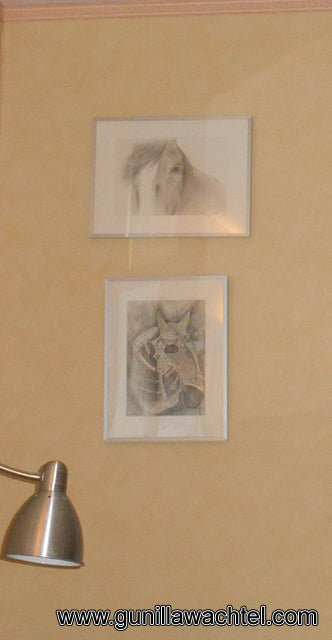 Artwork on Display - Collector's Photo
