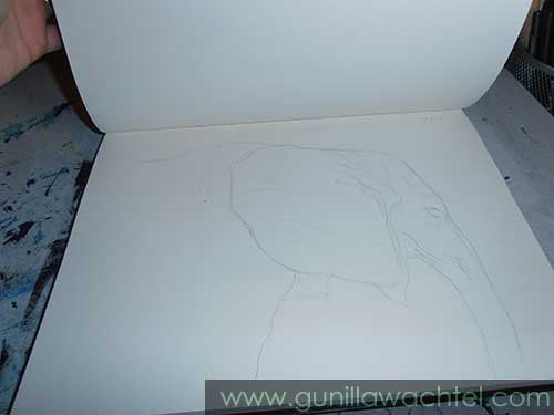 Sketchbook Review and Tuxie The Boss Kitty