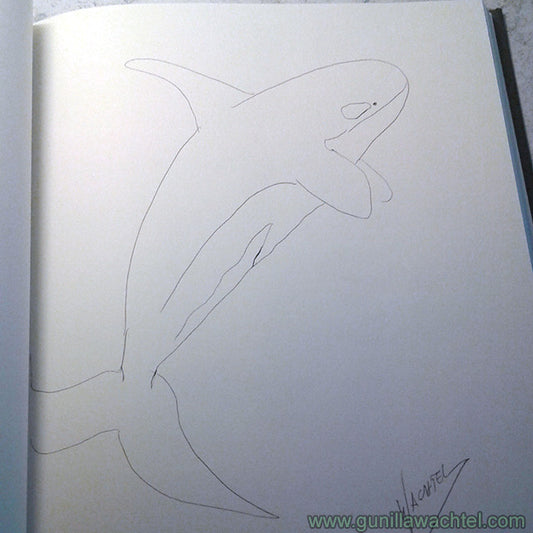 Sketchbook Studies - Orca