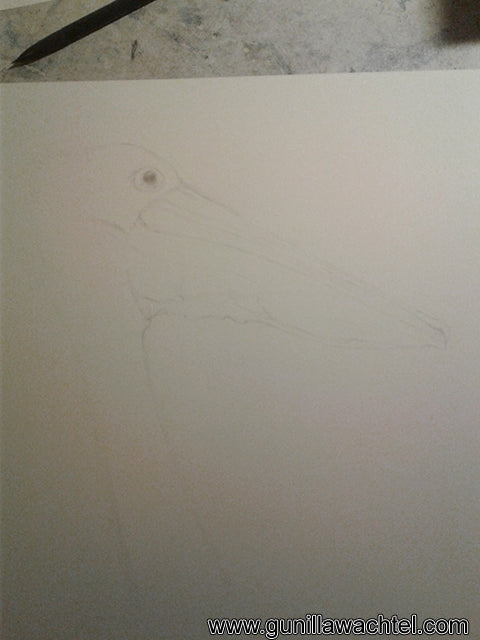 Artwork in Progress - Pelican