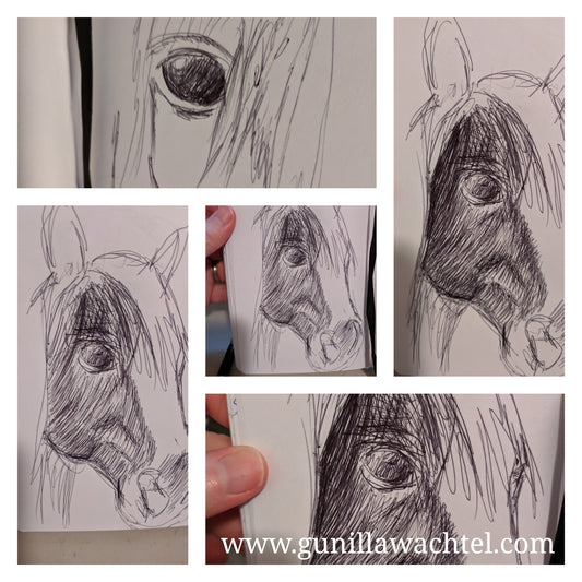 Sketchbook pages - horse