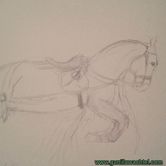 Sketchbook Studies - Horse Pencil Drawing