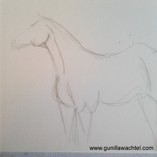 Pages from the Sketchbook - Arabian Horse Study