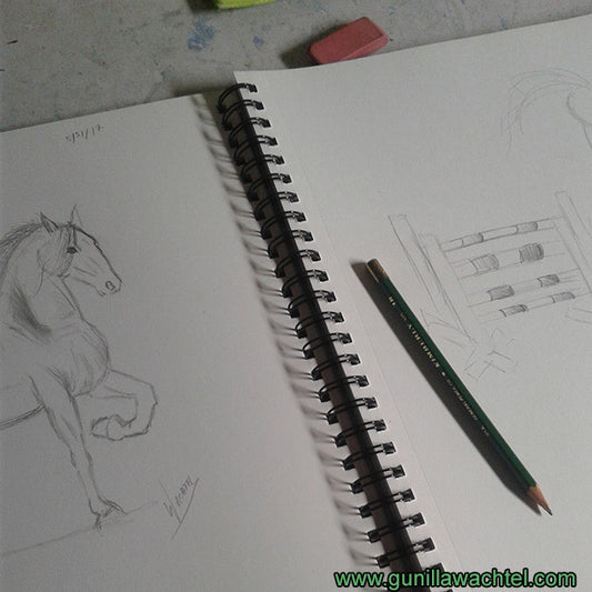 Pages from the Sketchbook